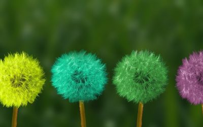 „Unternehmen müssen Vertrauen in die digitale Transformation schaffen“ Interview auf springerprofessional.de