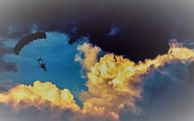 CDR und Steuerberatung: Vertrauen als USP