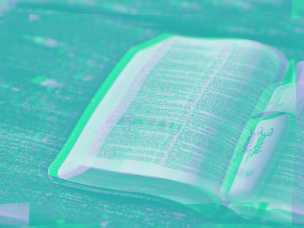 Case | Whitepaper für Tech-Konzern