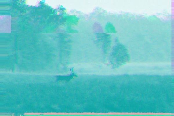 Acht Empfehlungen für KMU zur nachhaltigen Plattformnutzung